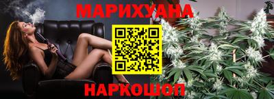 мдпв Новозыбков