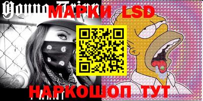 мдпв Новозыбков