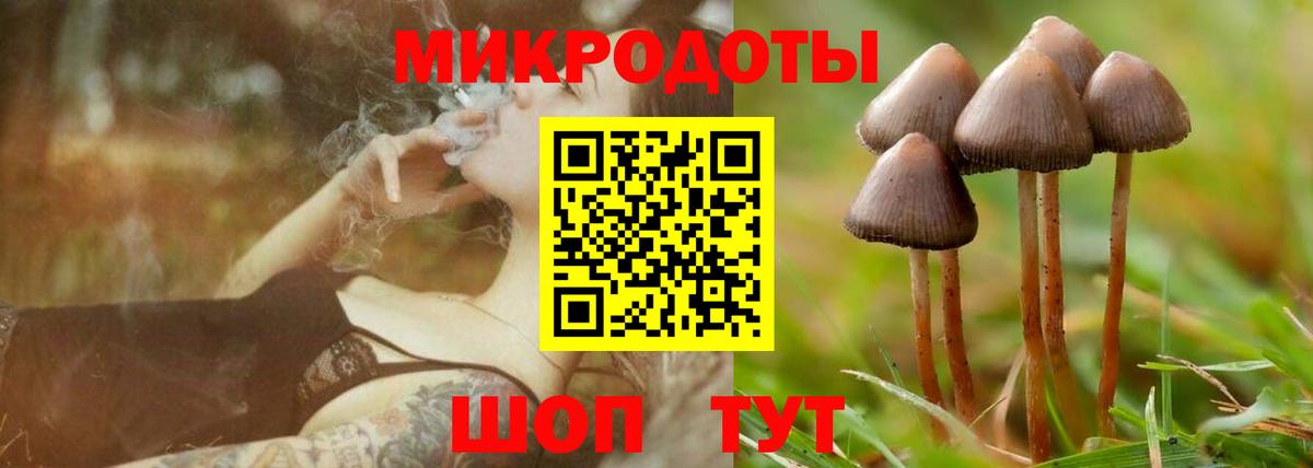 Псилоцибиновые грибы MAGIC MUSHROOMS Рославль